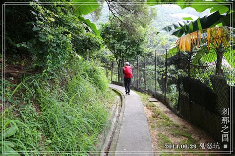 鬼怒坑|香港山旮旯 Hong Kong Sankala: 鬼怒蓮花